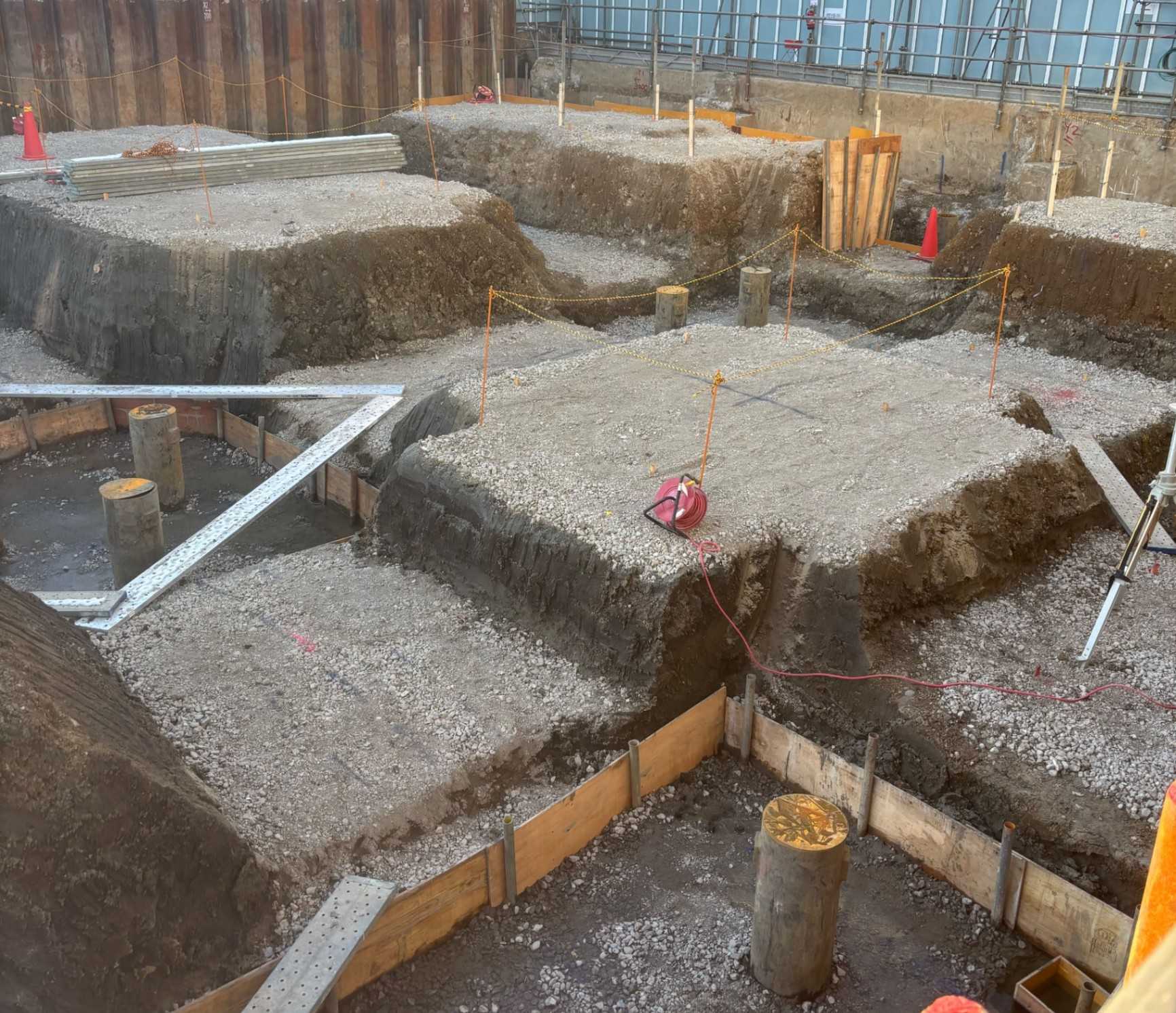 一例　2026年2月6日撮影